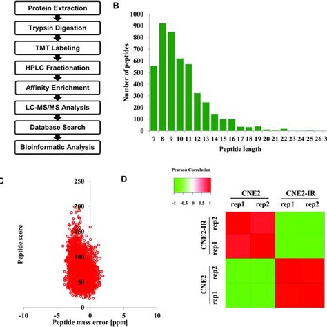 Protein Subcellular Localization Annotation Terms Linked To Either