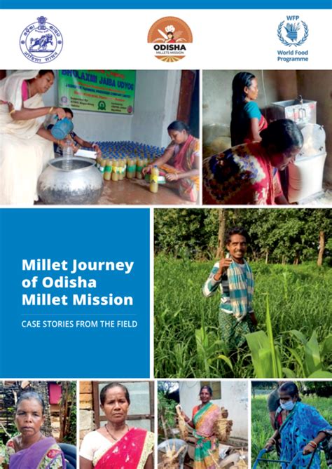 millet journey   odisha millet mission case stories