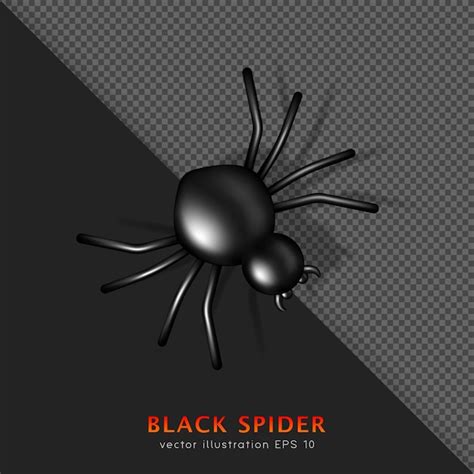 Premium Vector 3d Black Glossy Venomous Spider With Shadow