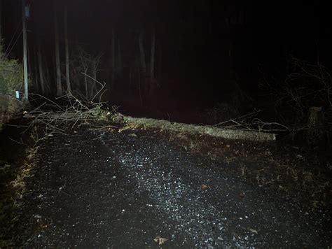 High wind gusts, downed trees lead to power outages in area | The Tryon