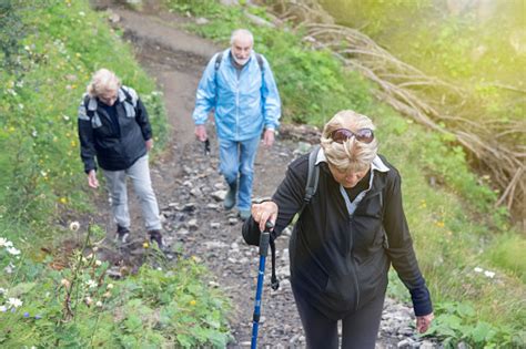 Active Seniors Trekking Happy Group Of Seniors Hiking At The Mountains