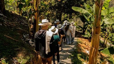 Medellin Tour Agro Vive Una Experiencia M Gica Y Did Ctica Getyourguide