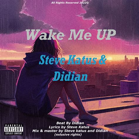 Steve Katus Wake Me Up Lyrics Genius Lyrics