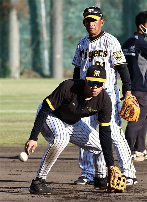 【虎になれ】地味？な男が脚光 12球団ワーストの守備力アップへ奮闘する阪神馬場敏史新コーチ 虎だ虎だ虎になれ！ 野球コラム 日刊スポーツ