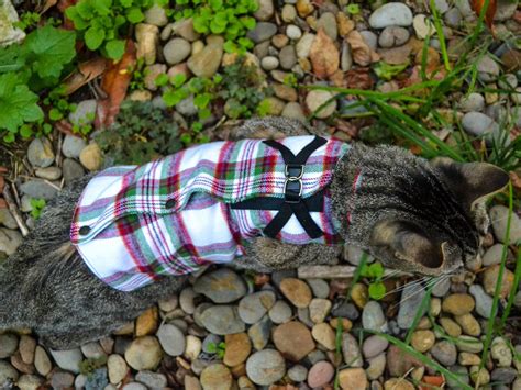 Cozy Step In Cat Harness Digital Sewing Pattern Etsy