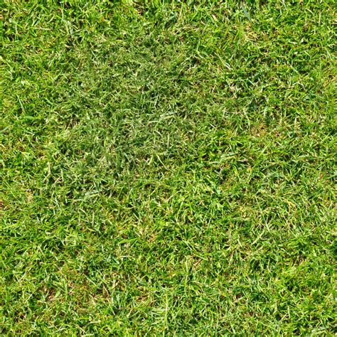 Short Green Grass Free Seamless Textures All Rights Reseved