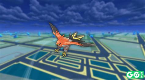 Talonflame Pok Mon Go Mejores Ataques Counters Debilidades