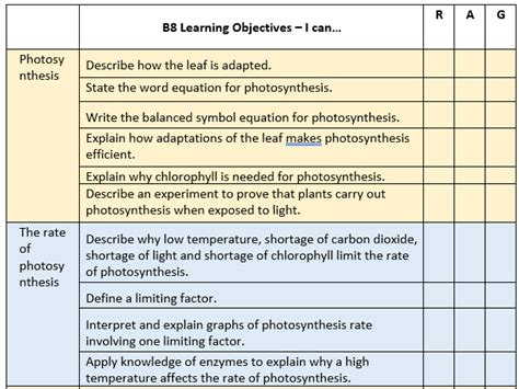 B8 Photosynthesis Booklet | Teaching Resources 