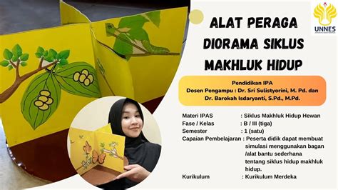 ALAT PERAGA DIORAMA SIKLUS MAKHLUK HIDUP KELAS III SD YouTube