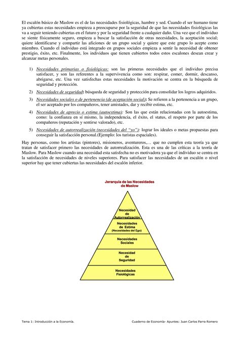 Las Necesidades Y Los Bienes Pdf