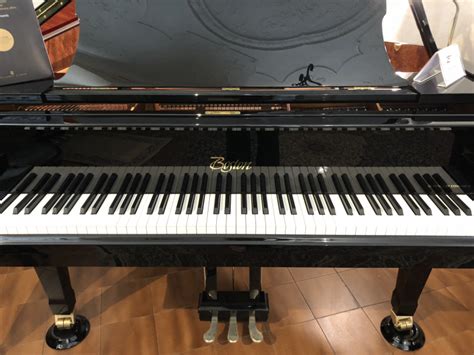 Passadori Pianoforti, Rivenditore Steinway & Sons – Pianoforti a coda e verticali per amanti ...