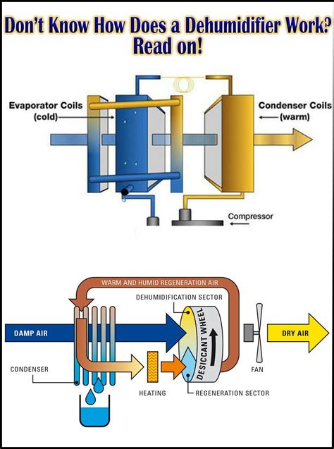 Dehumidifier Schematics Diagram How Do Dehumidifiers Work