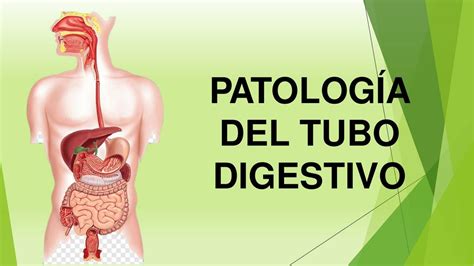 Patolog A Del Tubo Digestivo Liquidoh Udocz