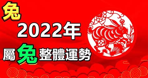 属兔2022年姓名测试财运免费测试怎么样是真是假 运势无忧