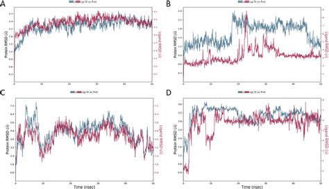 RMSD Analysis Of MD Simulation Trajectories Generated From The