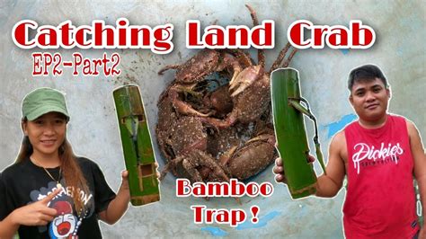 Catching Land Crabs Using Diy Bamboo Trap Nanghuli Ng Alimango Gamit