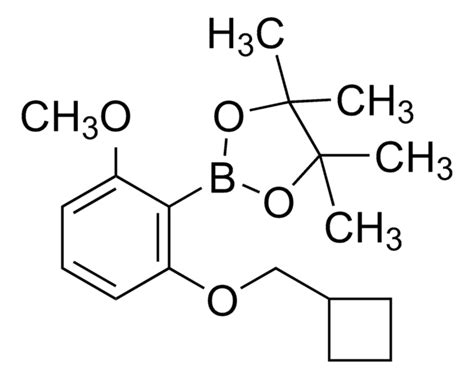 2 2 2 Dimethyl Propionylamino Isonicotinic Acid Methyl Ester