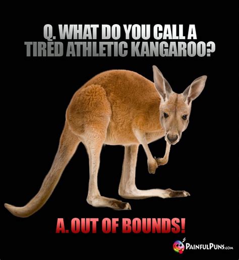 Kangaroo Jokes, Joey Puns, Roo Humor 2 | PainfulPuns.com