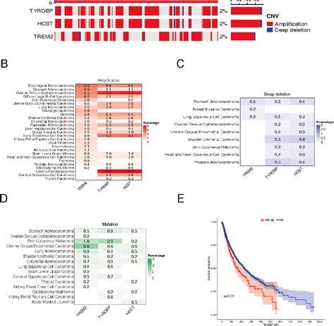 Figure From Deciphering The Molecular And Clinical Characteristics Of