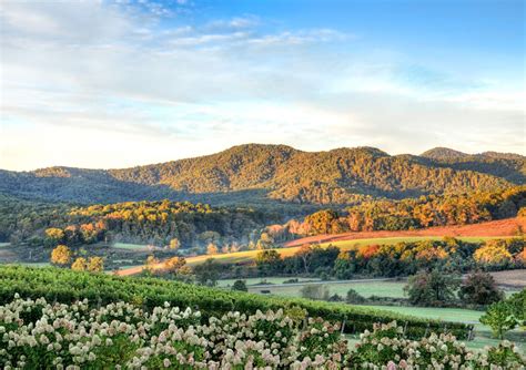 Virginia travel guide: Everything you need to know about visiting Virginia