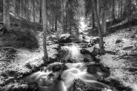 Fotos Gratis Rbol Agua Naturaleza Bosque Cascada Arroyo