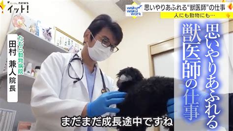 思いやりあふれる“獣医師”の仕事 人にも動物にも寄り添う動物病院の院長に密着 Youtube