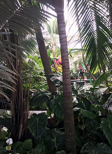 Sex And The Garden Wag Magazine