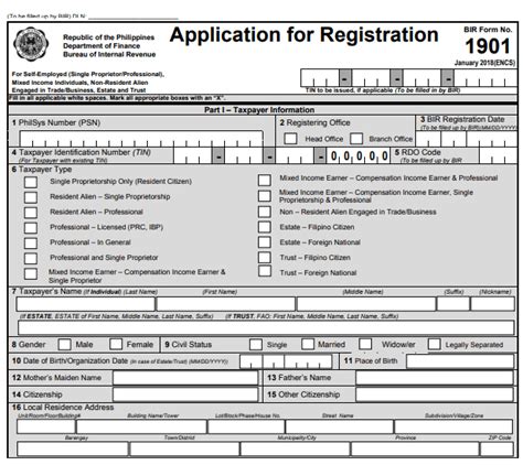 How To Get A Bir Tin And Tin Id In The Philippines Surigao City