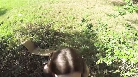 Free Big Tit Whore Porn Videos Xhamster