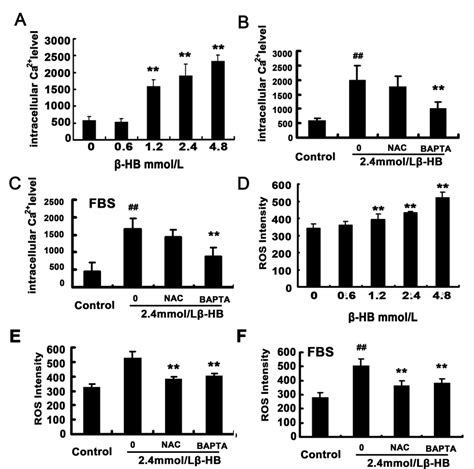 Effect Of Hb On Intracellular Ros Level And Intracellular Calcium