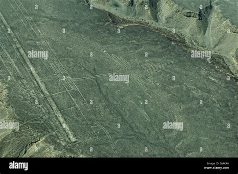 Hummingbird - Peru Nazca Lines Stock Photo - Alamy