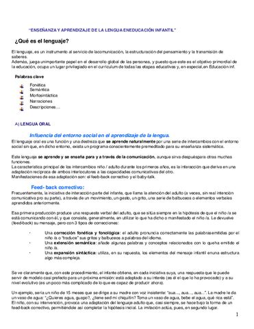 Tema Resumen Didactica Pdf