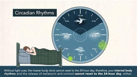 The Cause and Effects of Non-24-Hour Sleep-Wake Disorder | Circadian ...