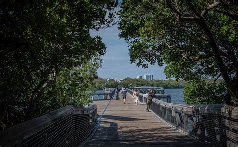 Florida's Hidden Gems: John D. MacArthur Beach State Park is a quiet