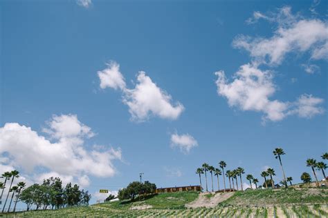 Images of ビュー - JapaneseClass.jp