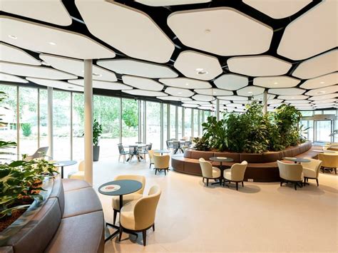 Glass Wool Acoustic Ceiling Clouds Ecophon Solo Circle By Saint Gobain