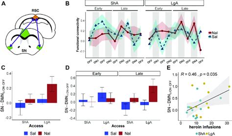 Coupling Between The Salience Network SN And Default Mode Network