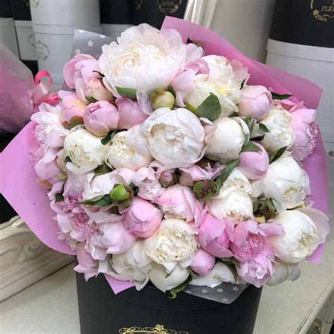 51 бело-розовый пион в букете (811622) за 48 490 руб. | Бесплатная ...