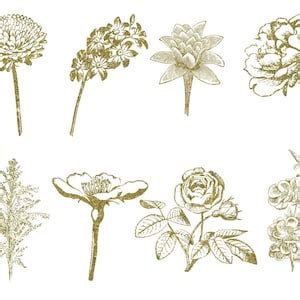 20 PNG Gold Glitter Flowers, Clip Art, Design Elements, Instant ...