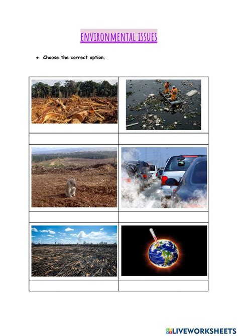 Environmental Issues Live Worksheets