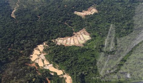 Opera O Desmobiliza Quatro Garimpos Ilegais Que Polu Am Rio Em Rea De