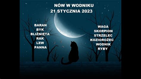 N W W Wodniku Stycze Tarot Wszystkie Znaki Zodiaku Lena Sieben