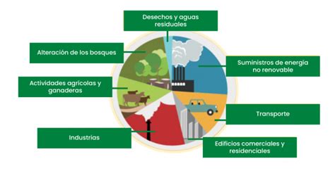 Consejos Claves Para Reducir La Emisión De Co2 Blog De Bio Natural Solutions