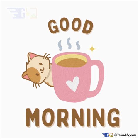 Good Morning Cat Gif – Gifsbuddy.com