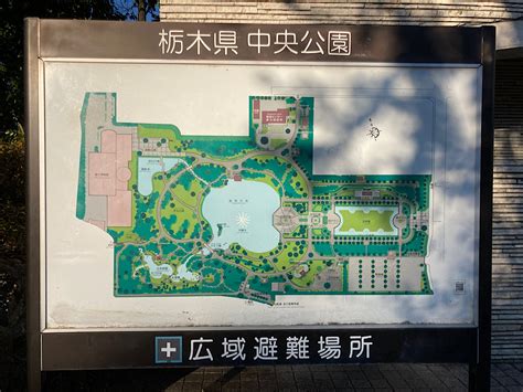 宇都宮市睦町にオアシス発見！お散歩にもおすすめな「栃木県中央公園」 東海住宅タウンガイド