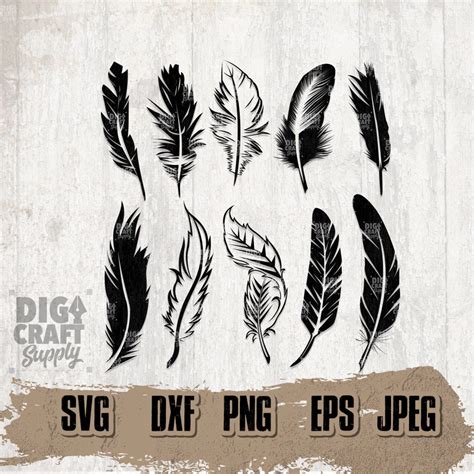 10 Feather Bundle Svg, Feather Svg, Bundle Svg, Feather Clipart ...