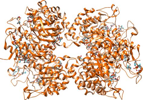 TESTING AND THE CLINICAL UTILITY OF FECAL BIOMARKERS - TECHLAB, Inc.