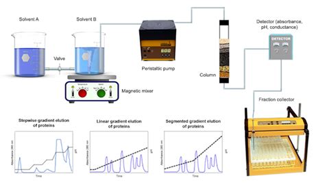 Successful Protein Purification Gradient Elution Lambda Omnicoll Lambda Laboratory Instruments