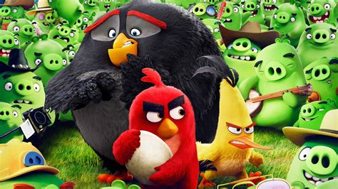 The Angry Birds Movie Hd Wallpaper