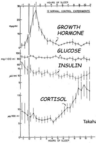 Growth Hormone Flashcards Quizlet